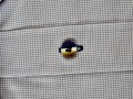 DSC09177.jpeg